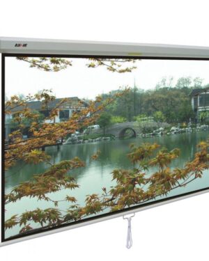 Projector Screen 120 Inch Manual 6x8 Feet
