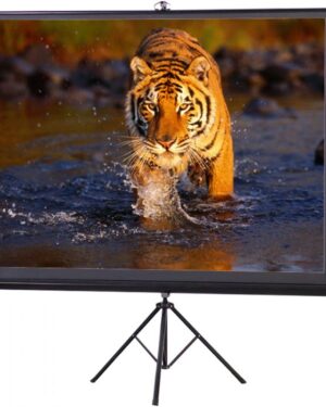 Projector Screen 120 inch Tripod Stand 6x8 Feet